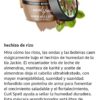 mascarilla hidratante Aunt Jackie